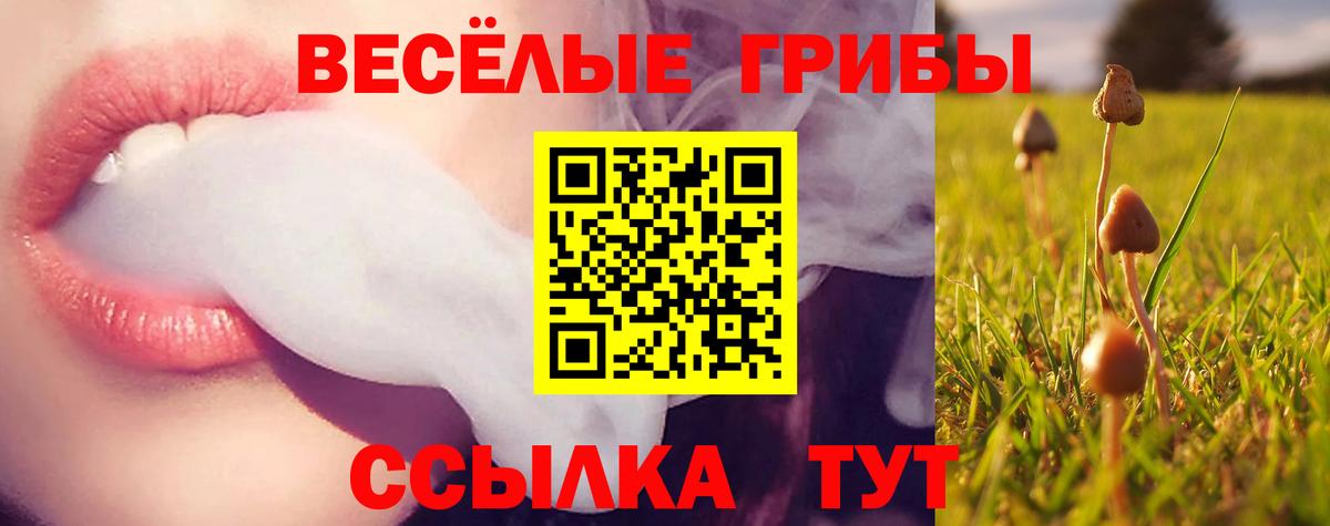 Галлюциногенные грибы мухоморы Соликамск